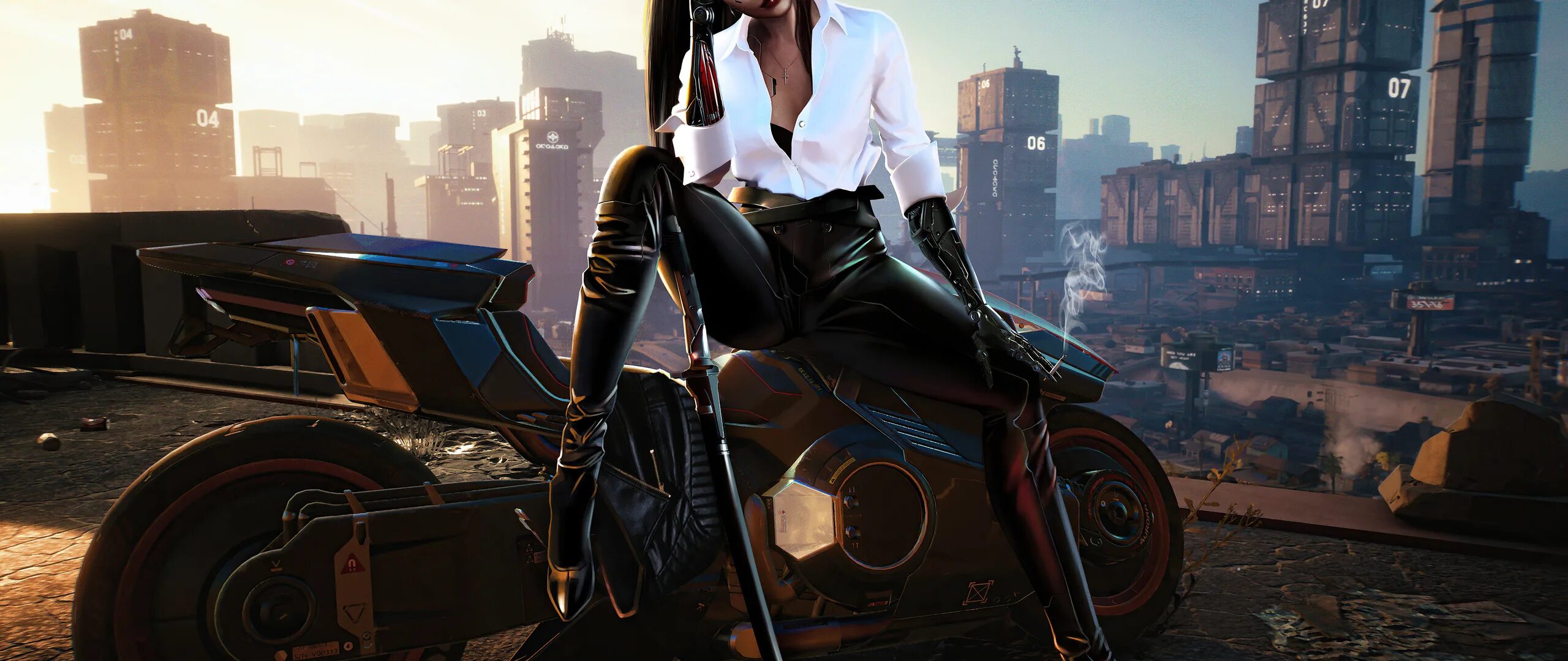 Twisted grim cyberpunk. Герои cyberpunk 2077 сандра. Cyberpunk 2077 art. Киберпанк руле 34. Джиллиан джордан cyberpunk 2077.