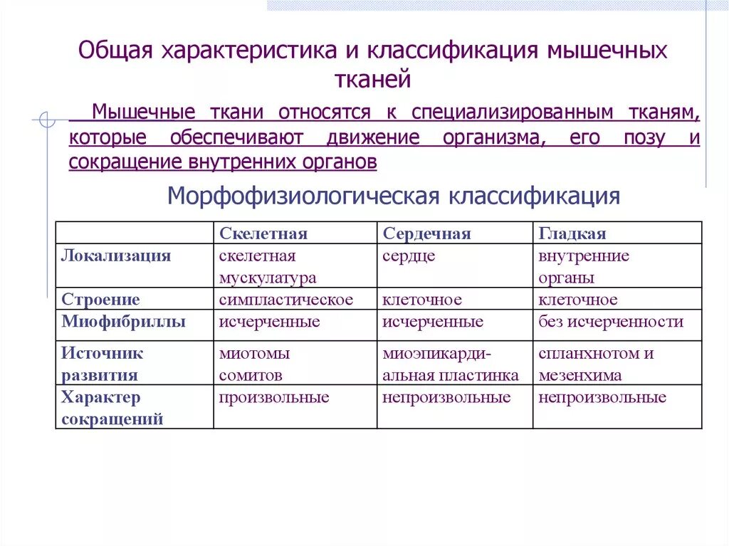 Мышечные ткани - презентация онлайн