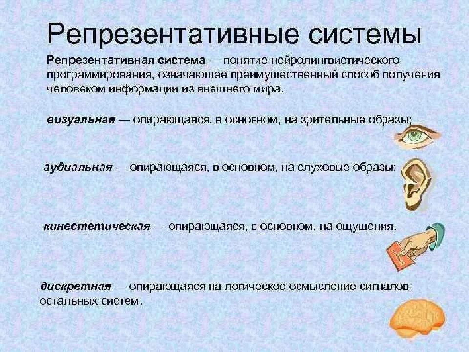 Репрезентативные системы восприятия. Виды репрезентативных систем. Репрезентативные системы человека. Репрезентптианач си тема. Понятие репрезентативных систем.