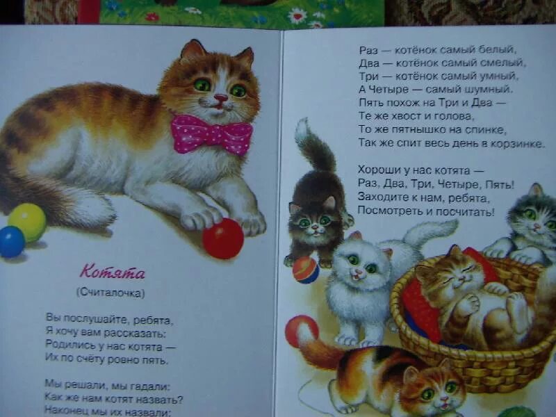 Стихотворение котята. Песенки про котят. Текст про котенка.