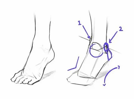 Foot draw
