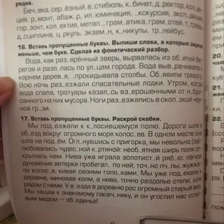 Спиши вставь пропущенные буквы и раскрой скобки