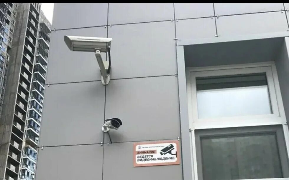 Новости общества
