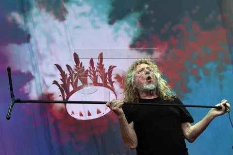 Robert plant log