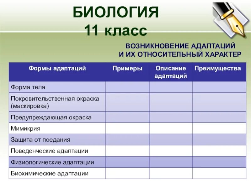 Адаптации 11. Примеры адаптации. виды адаптации таблица. форма адаптации примеры описание. виды адаптации с примерами таблица.