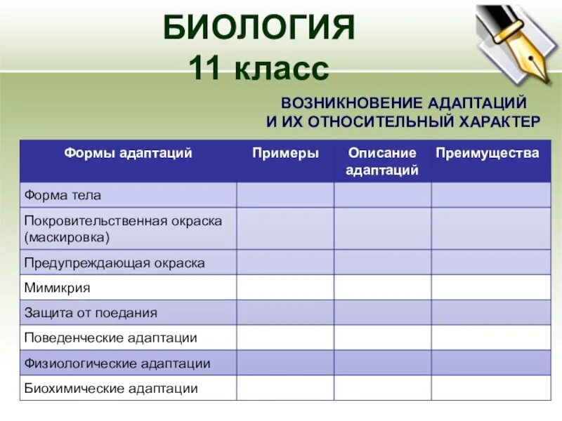 Адаптация 11 класс. Примеры адаптации. Виды адаптации таблица. Форма адаптации примеры описание. Классификация адаптаций таблица.