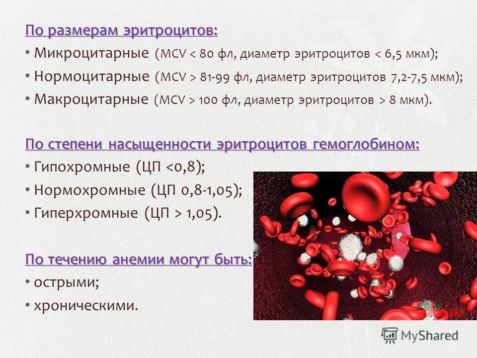 Анемия норма гемоглобина. Размер эритроцита. Диаметр эритроцитов. Размер эритроцитов в крови человека. Эритроциты по размерам.