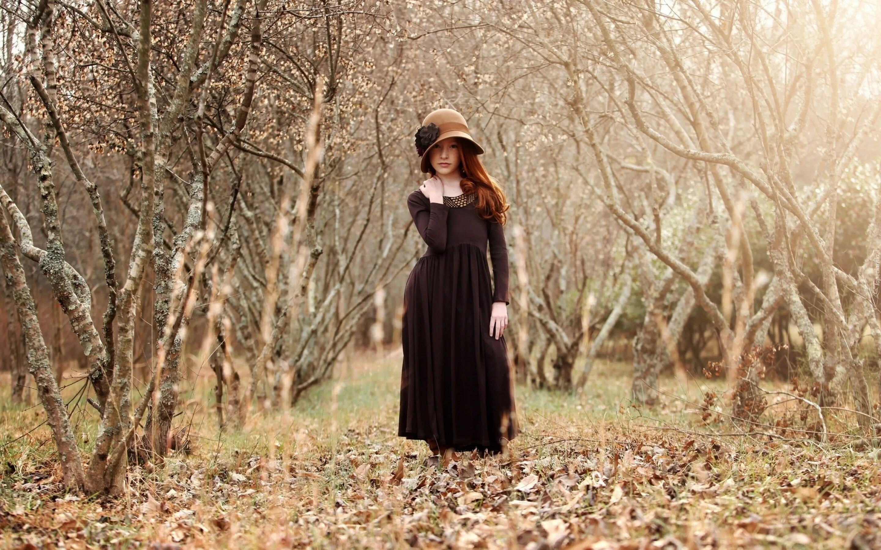 Фотосессия в лесу поздней осенью. Осенние платья для девушек. Девушка в осеннем парке. Девушка в коричневом осень. Олицетворение осени