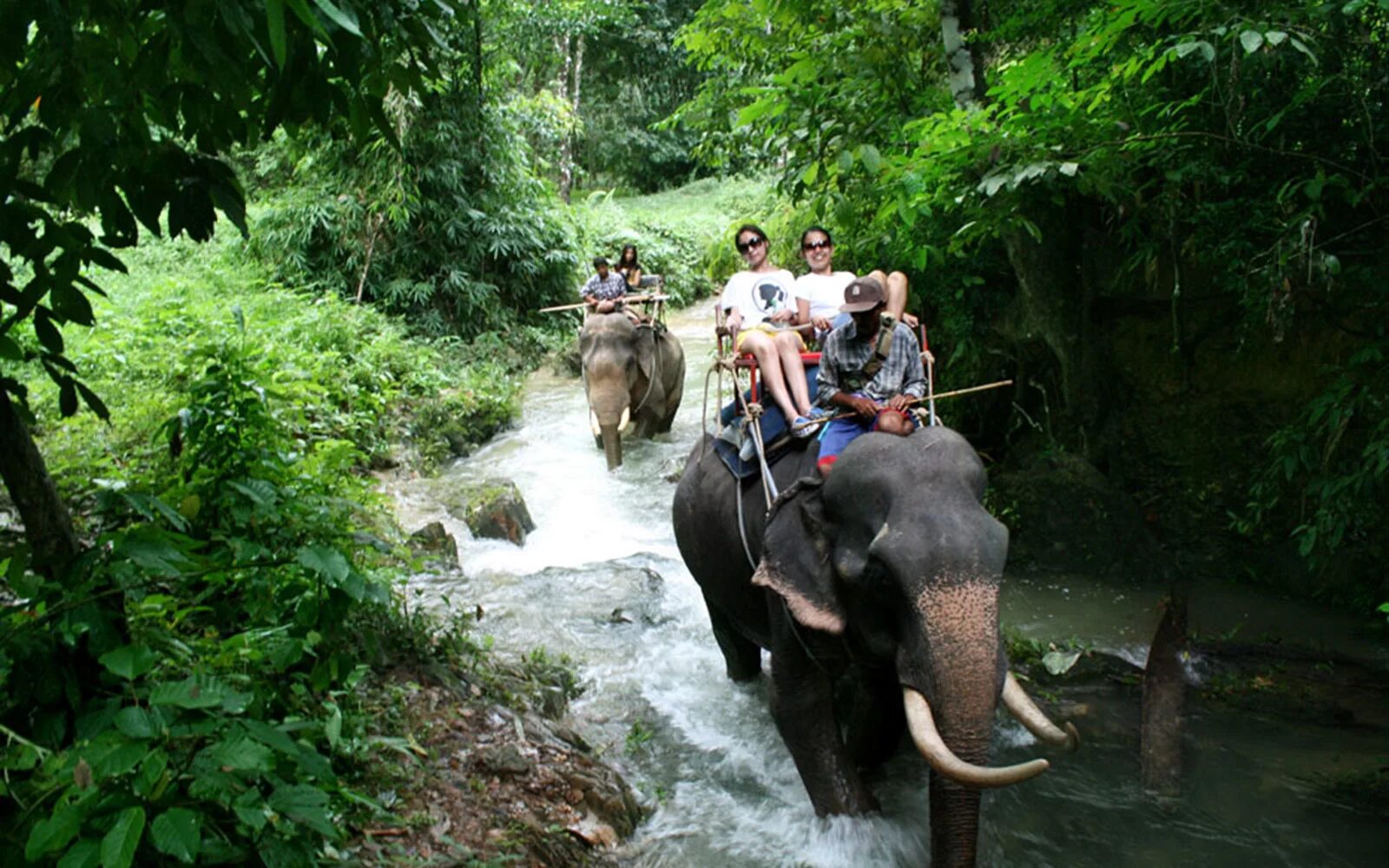 као лак сафари. тайланд, экскурсия кхао лак. као лак пхукет экскурсии. као лак пхукет экскурсии. тайланд, экскурсия кхао лак.