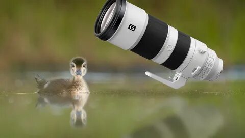 Sony fe 200 600mm f 5.6 6.3