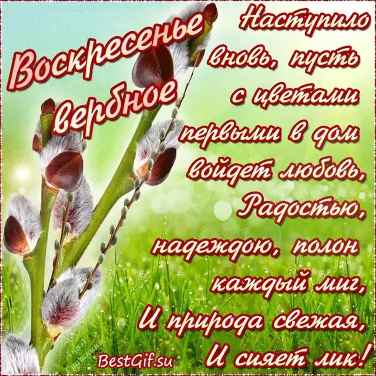 Поздравление с вербным воскресным. Вербное воскресенье поздравления. поздравлениясвербным воскресенье. поздравить с вербным воскресеньем. поздравления с верным воскре.