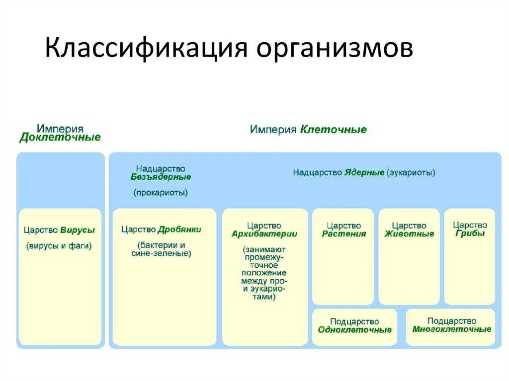 Определение систематике. Классы живых организмов схема. Систематика классификация живых организмов. Современная классификация живых организмов таблица. Схема таблица классификация живых организмов.