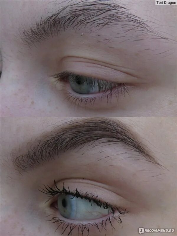 Как отрастить брови гуще. Отращивание бровей до и после. Отращивание бровей до и после. Красивые брови отрастить. Отрастить брови.