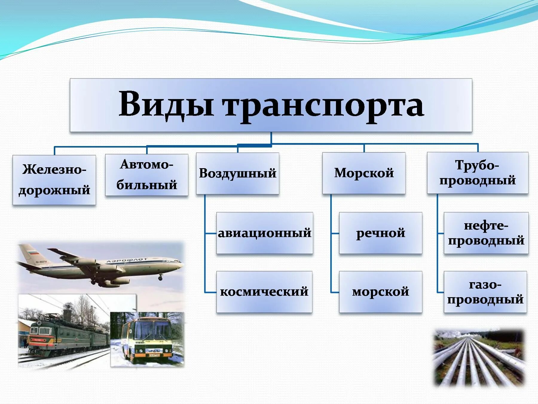 Виды транспорта и их значение