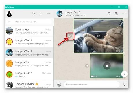 Друг whatsapp