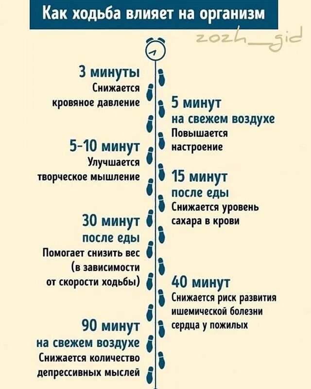 Влияние ходьбы на организм. Как влияет ходьба. Как ходьба влияет на человека. Влияние ходьбы на организм. Пешие прогулки полезны для здоровья.