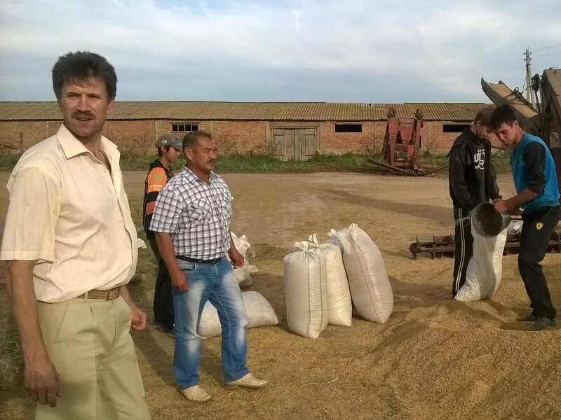 Прогноз погоды в александров гае. АЛГАЙ Саратовская область. Село АЛГАЙ Саратовская область.