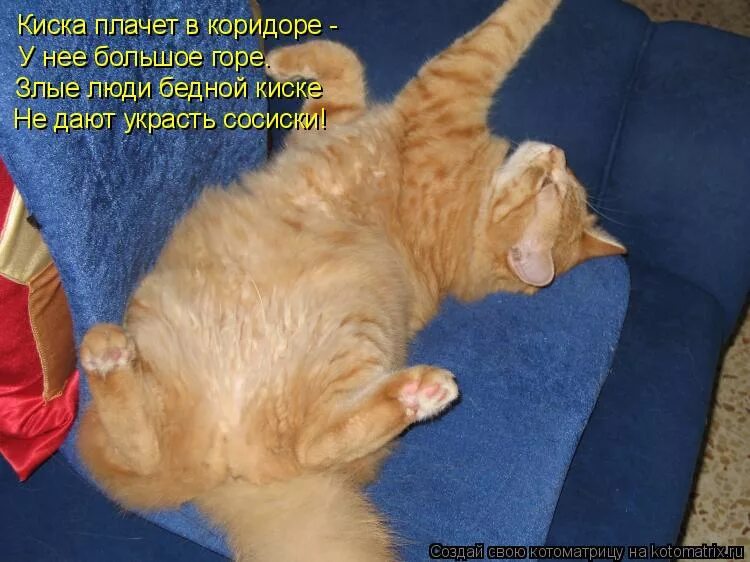 Киске не дают украсть сосиски