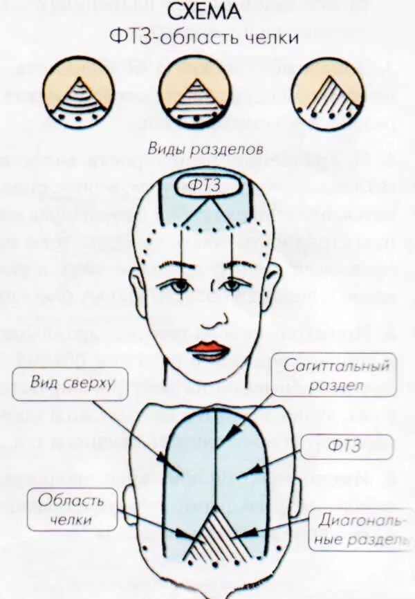 Схема мелирования на теменной зоне. Схема окрашивания теменной зоны. Проборы головы для парикмахеров схема. Зоны волосяного Покрова головы схема.