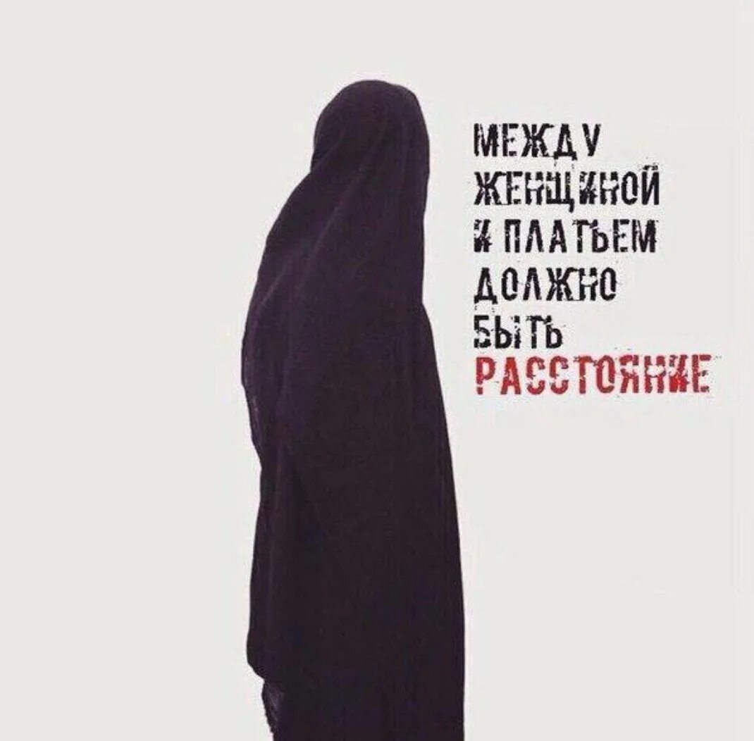 Где в коране написано про хиджаб. Красивые слова про хиджаб. цитаты про хиджаб. исламские цитаты про хиджаб. мусульманские цитаты про хиджаб.
