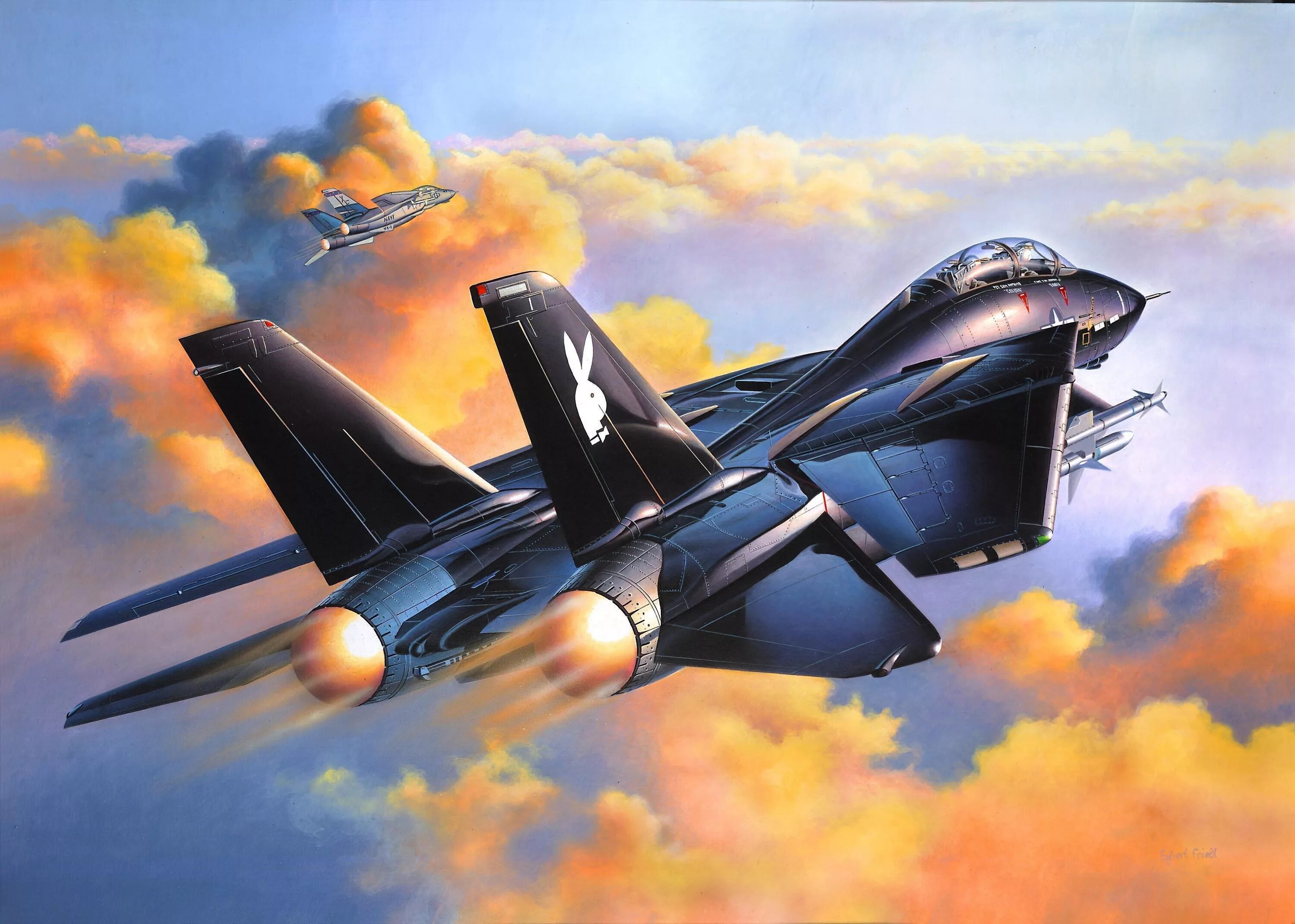 Военный самолет f14 Tomcat. Ф-14 Томкэт. F 14 истребитель. Grumman f-14 Tomcat Art. Про истребители