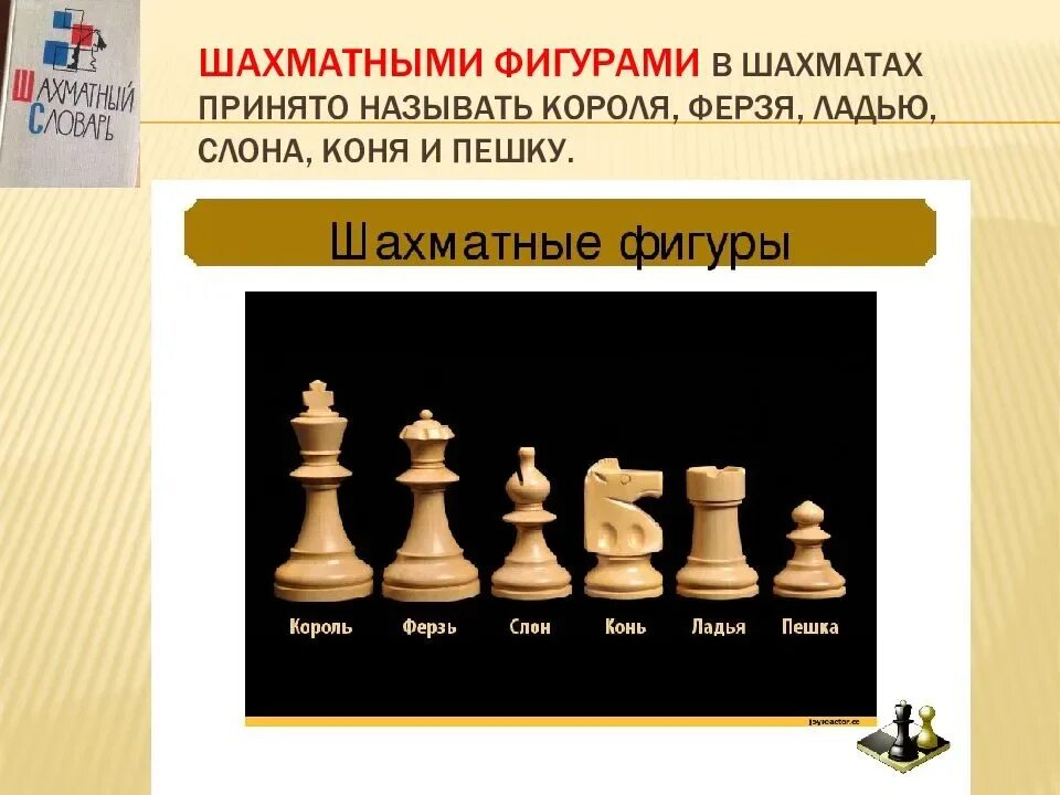 Название шахматных фигур с картинками. Шахматные фигуры ладья король ферзь конь слон пешка. расстановка фигур в шахматах король и ферзь. ладья и ферзь в шахматах. фигура шахмат король и ферзь.