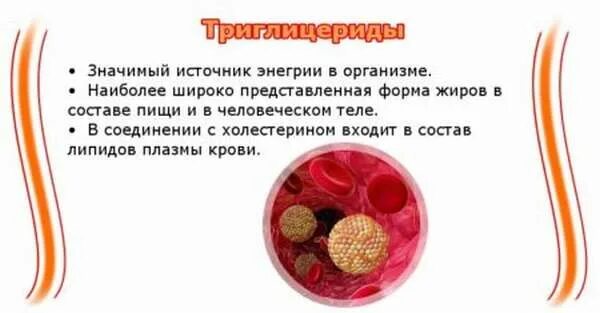 Триглицериды повышены питание. Причины повышения триглицеридов в крови. диета при высоких триглицеридах в крови. триглицериды что это такое у женщин. триглицериды причины повышения.