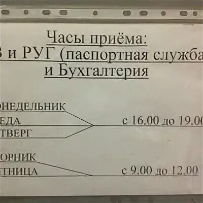 Паспортный на весенней