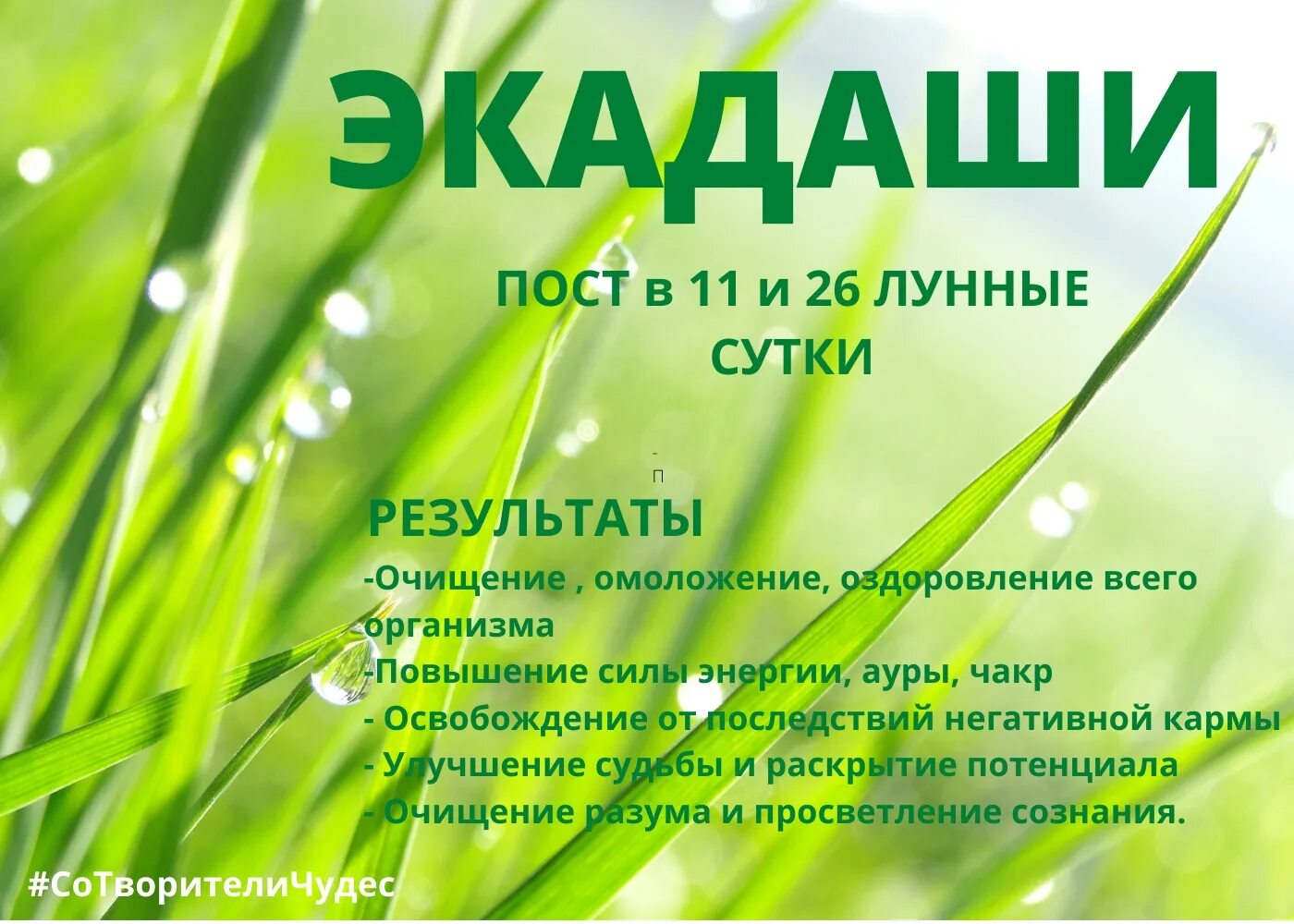 Экадаши красноярск. Экадаши красноярск. Катха. Экадаши красноярск. Экадаши красноярск.