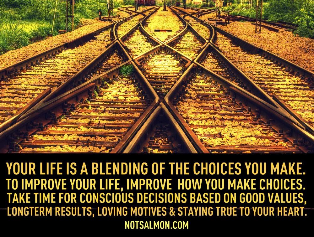 You made your choice. Improve Life. Картинка improve. Choice of Life. Make good choices.