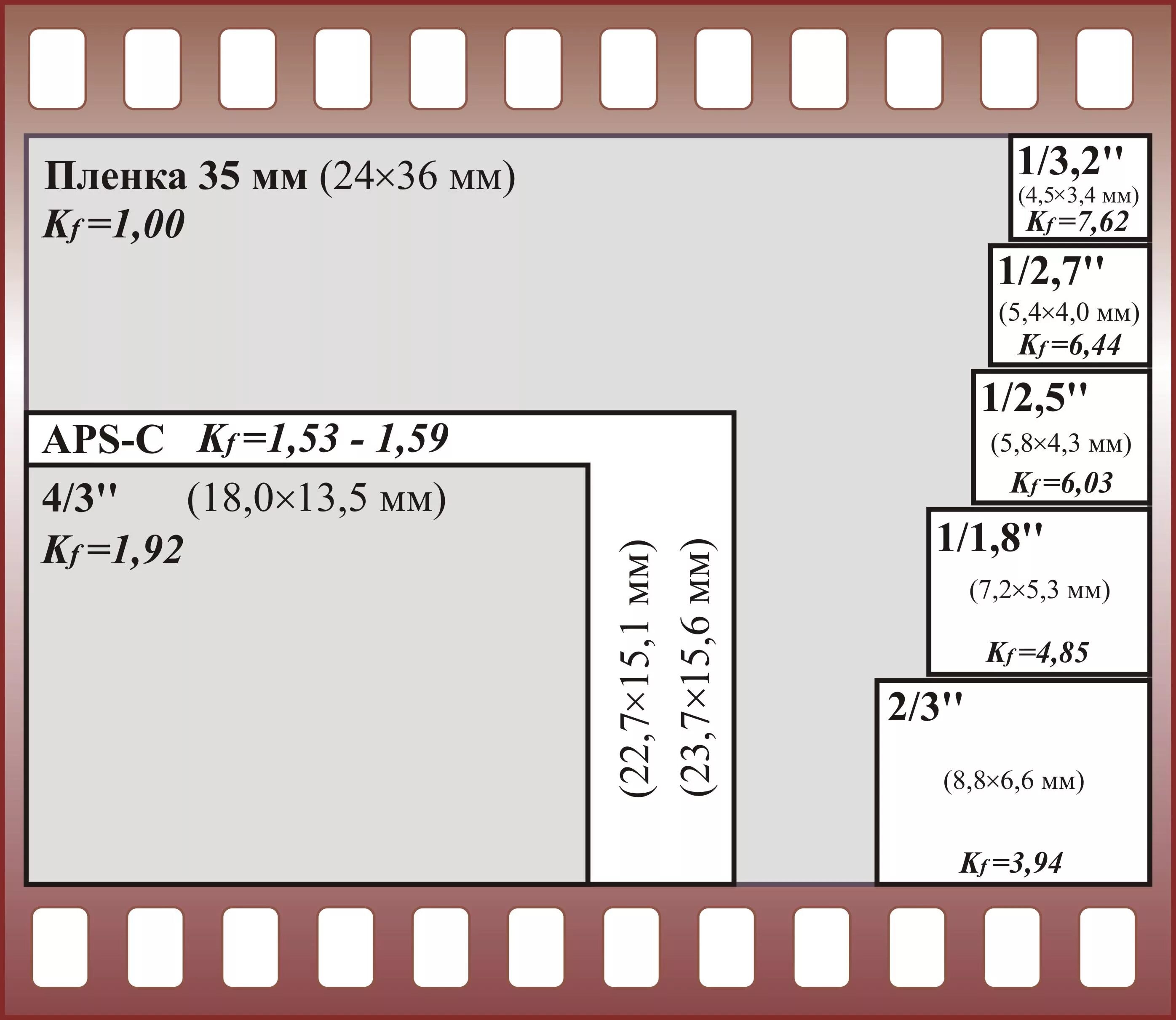 Размер кадра 35 мм кинопленки. Размер кадра 35 мм фотопленки. Размер матрицы фотоаппарата пленка. Форматы матриц цифровых фотоаппаратов.