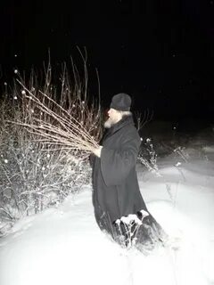 Верба на введение во храм пресвятой богородицы