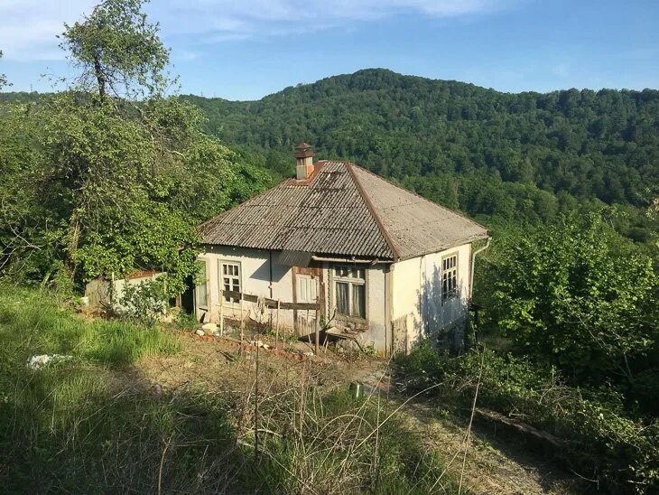 Русская деревня russian. Село воронцовка г сочи. Современная деревня в россии. Деревенские в городе. Заросшая бурьяном деревня.