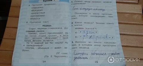 Ответы чтение работа с текстом 4