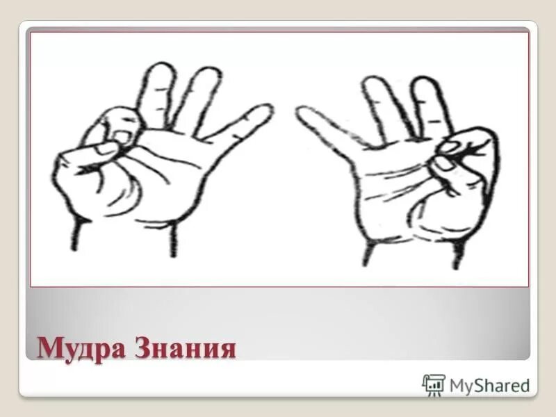 Мудра "раковина" - "шанкха". Мудры на все случаи. Мудры для здоровья жизненных сил и внутреннего спокойствия. Тема мудры. Мудра шанкха для горла.