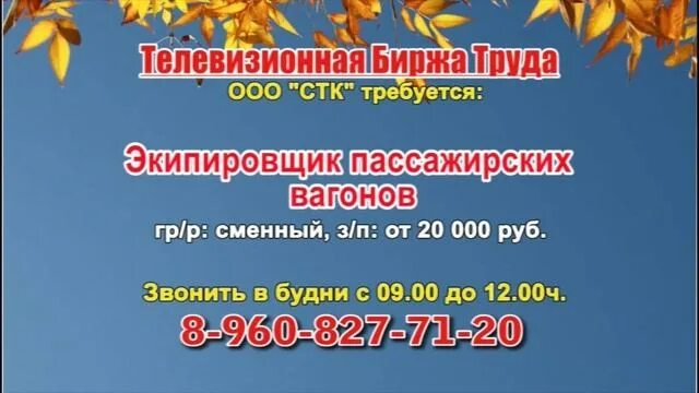 Работа свежие вакансии. Работа тольятти вакансии. Биржа труда великие луки. Работа в автозаводском районе без опыта. Работа в автозаводском районе без опыта.