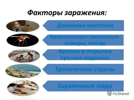 Фактор заражения