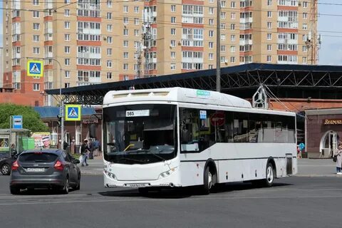 300 автобус спб