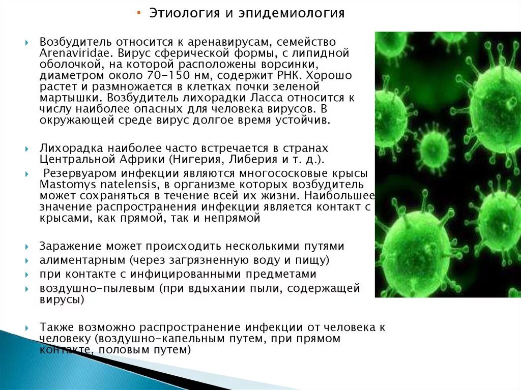 Аренавирусы лихорадка Ласса. Геморрагическая лихорадка Ласса возбудитель. Лихорадка Ласса этиология. Вирус Ласса эпидемиология.