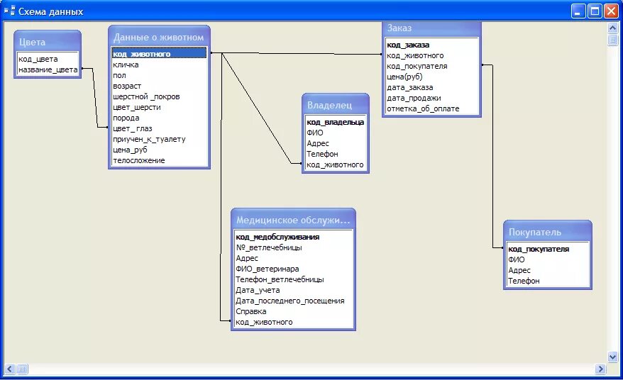 База данных московской области. Access схема данных больница. Er модель базы данных клиники. База данных ветеринарная клиника. Концептуальная модель БД поликлиники.