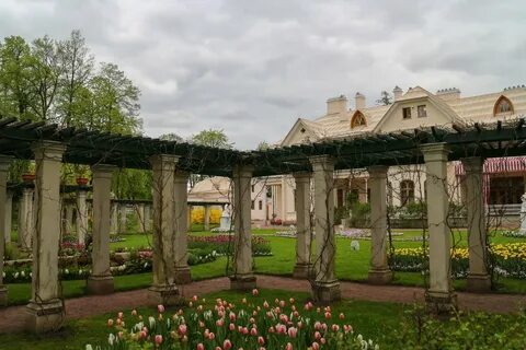 Парк александрия фото
