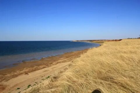 Отдых на цимлянском водохранилище