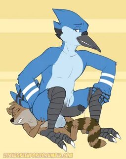 shadowpelt, mordecai, rigby, cartoon network, regular show, anthro, avian, ...