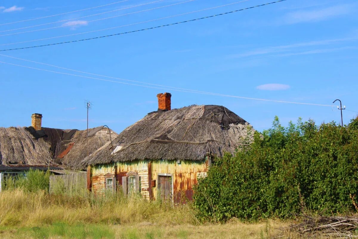 Приобское плато. Николо варваринка бобровского. Николо варваринка бобровского. Кгбсусо бобровский пни. Николо варваринка бобровского.