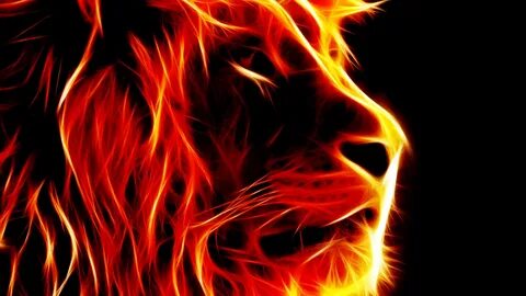 Artystyczna twarz lwa jak ogień płomień HD Lion Wallpaper Free Wallpaper.