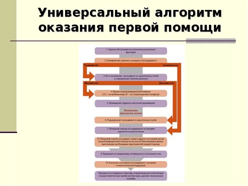 Алгоритмы оказания медицинской. Алгоритм оказания первой медицинской помощи схема. Алгоритм оказания 1 доврачебной помощи. Алгоритм при оказании первой помощи. Универсальная схема алгоритма оказания 1 помощи.