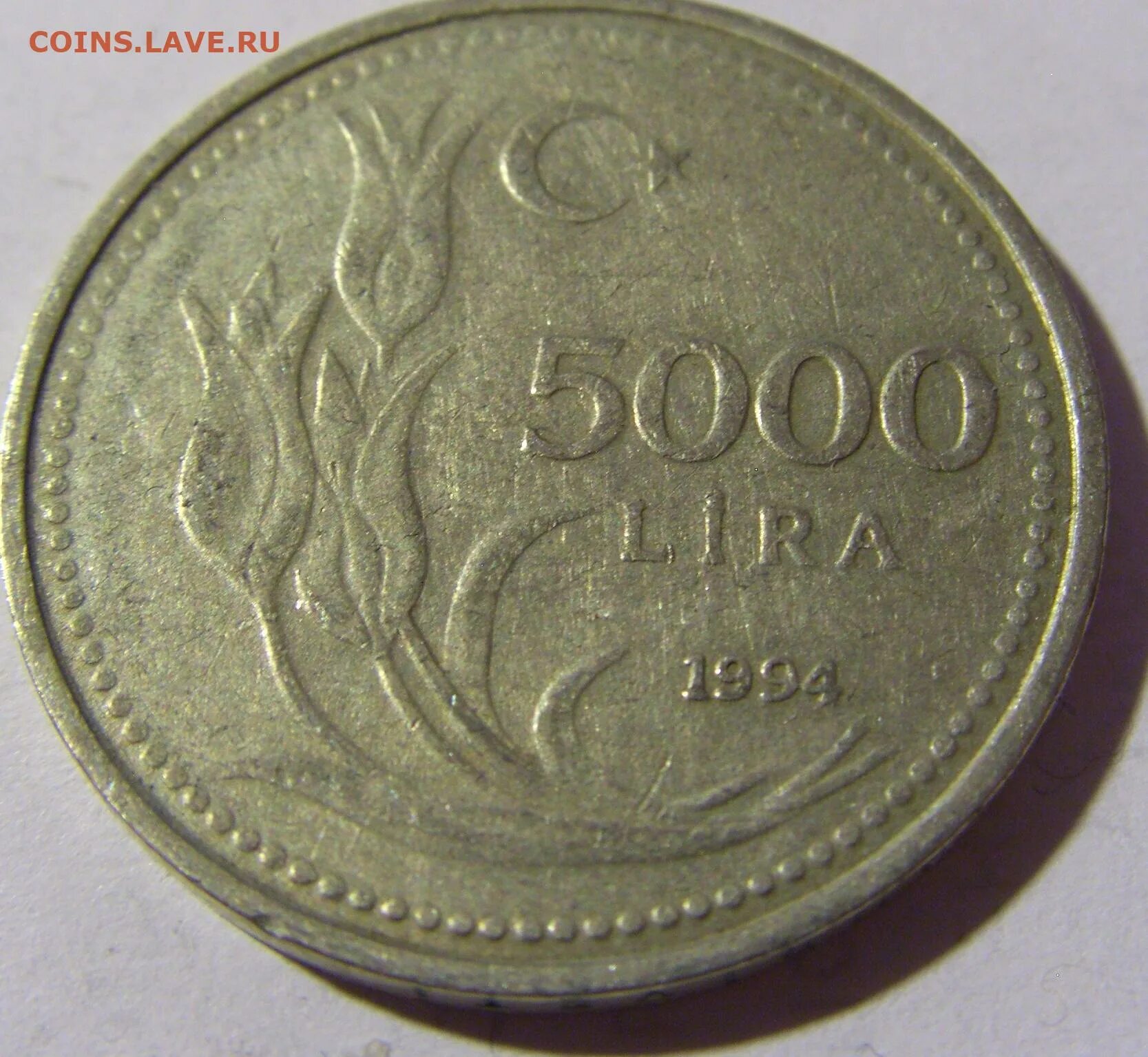 5 тысяч лир. 5000 Лир Турция. Турция 5000 лир 1994. 20 Турецких лир. 5000 Lira в рублях.