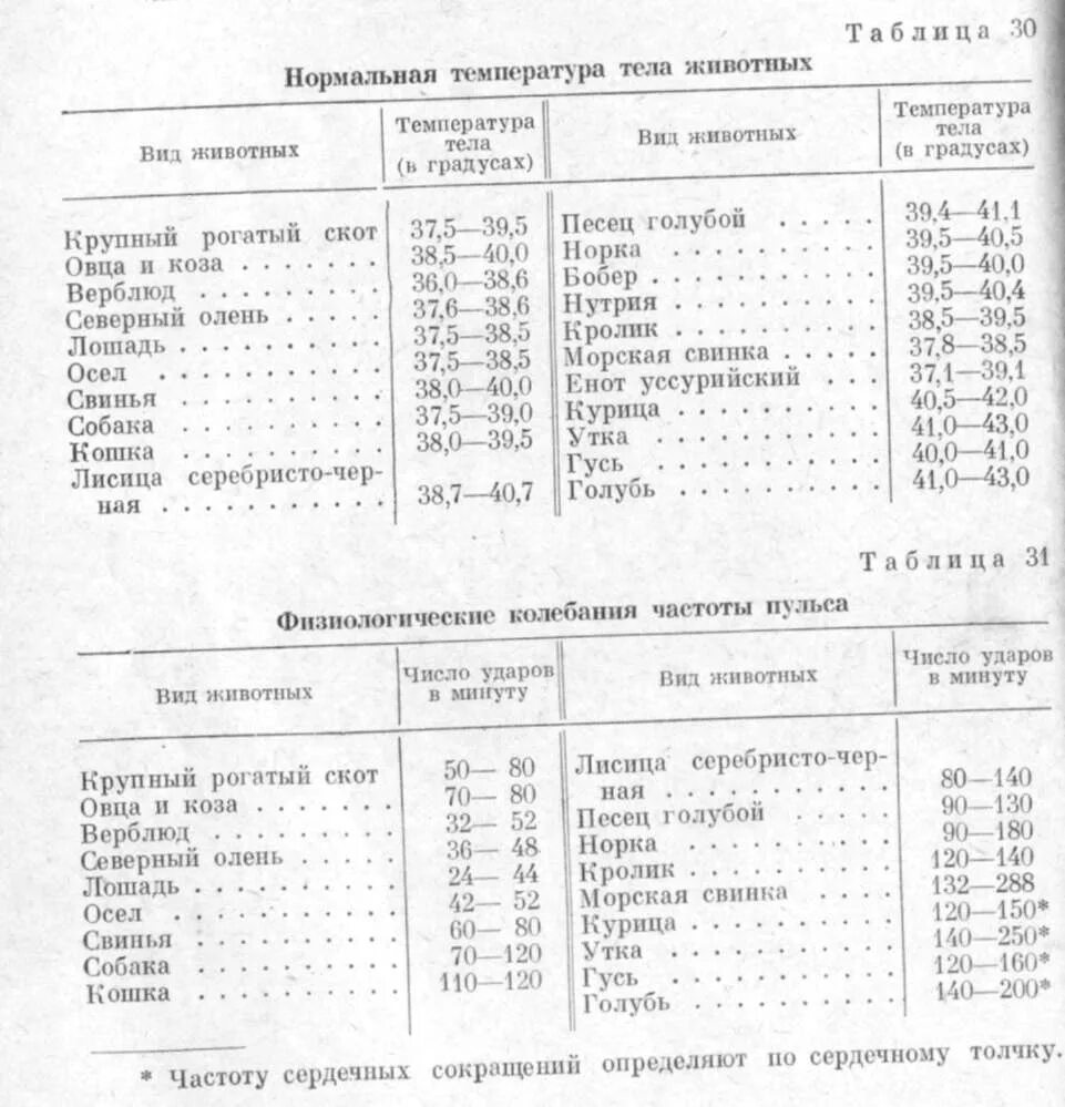 Показатели температуры в норме у собак. Норма температуры у собак средних пород. Нормы температуры тела у животных таблица. Нормальная температура у животных таблица. Температура тела кур