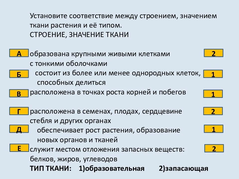 Установите соответствие между тканями. Установите соответствие между строением значением ткани и ее типом. установит соответствие между типом и тканью. установите в соответствие ткани.