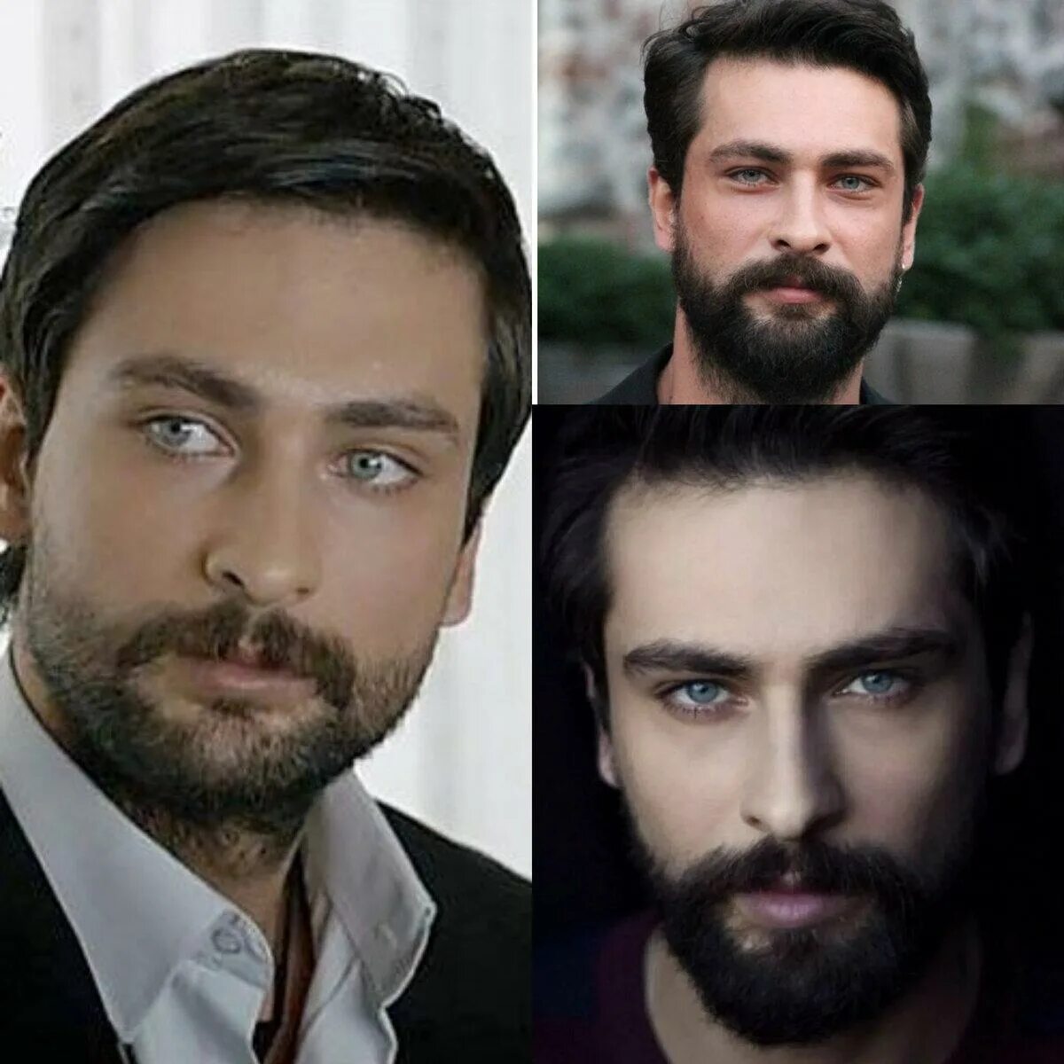 Pin de Rose em Onur Tuna Atum, Atores, Personagens masculinos